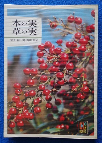 Two stars nuts seeds - stars:, seeds;