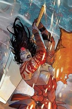 Absolute Wonder Woman # 19 Di