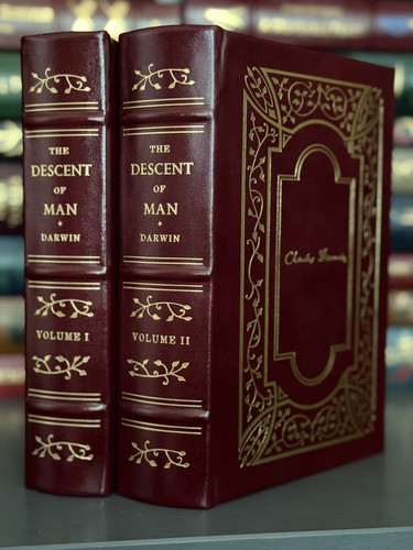 The descent man - descent, of
