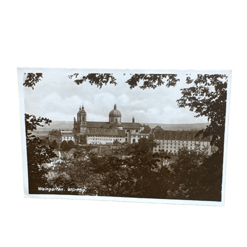 Cartolina postale vigna - cartolina,
