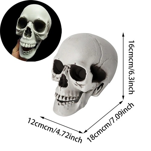 Teschio halloween decorazione - halloween,