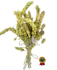 Tisana sciolta greca Olympus