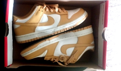 Taglia pettine nike dunk - -,