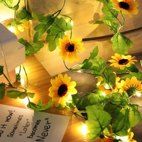 Stringa girasole - stringa, di