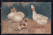 Cartolina Buona Pasqua Cagnolini Uova Oca ZB622