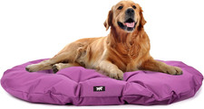 Cuccia Cane Taglia Grande -