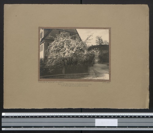 Fotografia georg friedrich - georg,