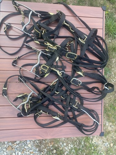 Lotto briglie da - 3,