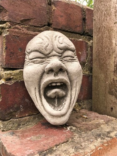 Scream yawn face garden - , stone
