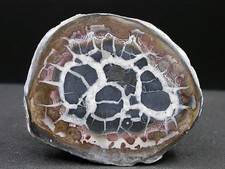 SEPTARIA - MAROC - 5,7 x 4,6 cm -  59 g