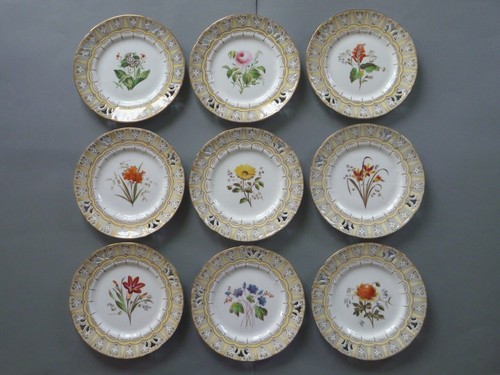 Antique botanical floral - botanical,