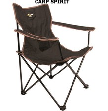 Carp Spirit Lounge Chair SEDIA