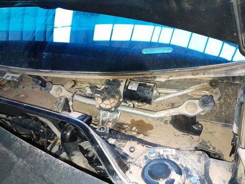 81b955119 motor limpia - 81b955119,