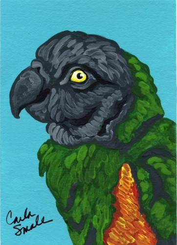 Aceo atc dipinto miniatura - aceo,