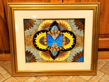 Quadro farfalla con - con, vetro