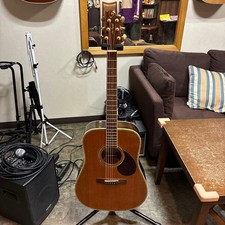 Greg Bennett D-8 Chitarra