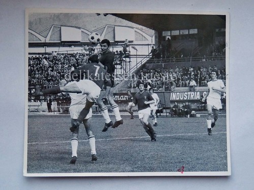 Triestina calcio trento - triestina,