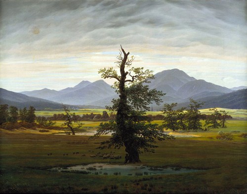 Bel olio caspar - , david