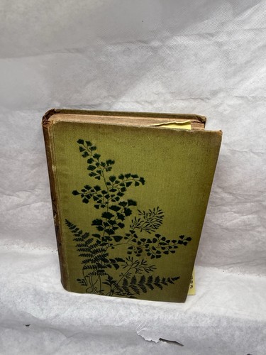 Manual exotic ferns - manual,