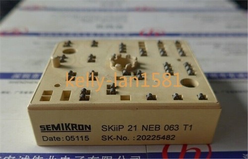 100 test 1pz skiip21neb063t1 - 100%,