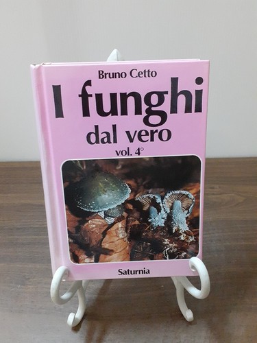 Bruno cetto funghi - bruno,