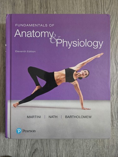 Fundamentals anatomy and - fundamentals,