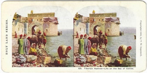520 nativi tiberiani vita - 520,