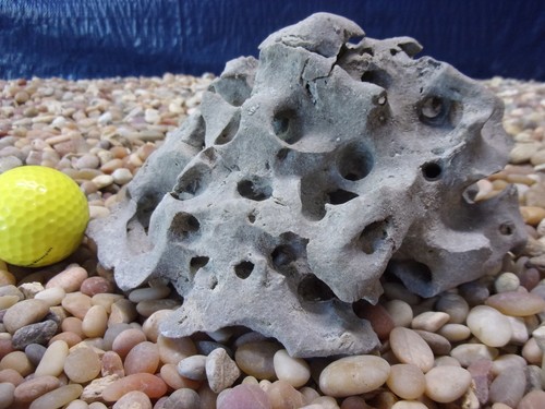 Texas holey rock - 04#,