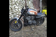 Serbatoio e codino flat track Harley Davidson Sportster EFI