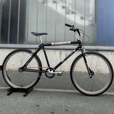 Bici personalizzata Ironhead