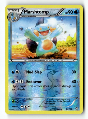 Pokemon card marshtomp reverse - pokemon,