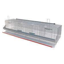 GABBIA GALLINE OVAIOLE QUATTRO