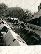 1958 FELTRE Viale Campogiorgio