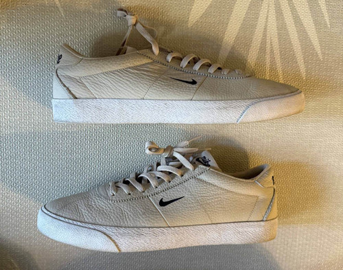 Nike zoom bruin - sb, desert