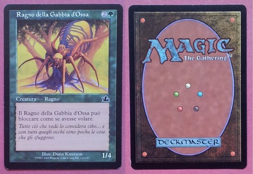 Ragno della gabbia ossa - ragno, d'ossa