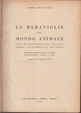 LZ- LE MERAVIGLIE DEL MONDO