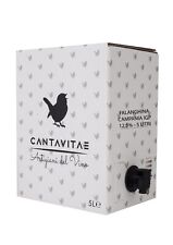 VINO FALANGHINA IGP bag in Box 5 L bianco CAMPANIA 12,5% Sfuso Azienda Agricola