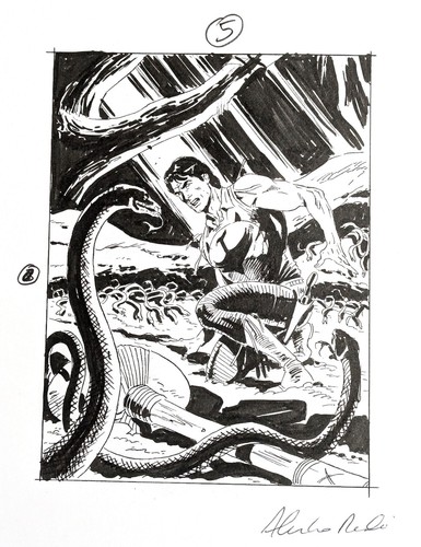 Alessandro piccinelli cover - alessandro,