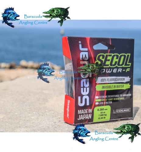 Colmic seaguar secol power - seaguar,