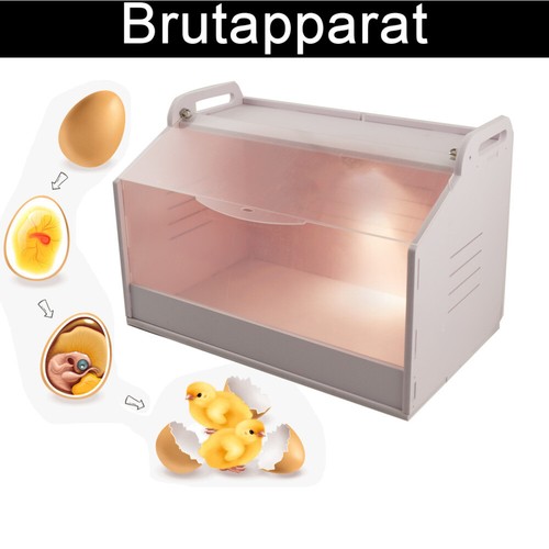 Pollame riproduttori - , di