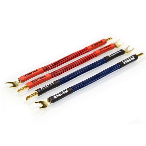 Ricable invictus bridge rpb - invictus,