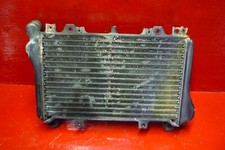 RADIATORE ACQUA KAWASAKI GPX