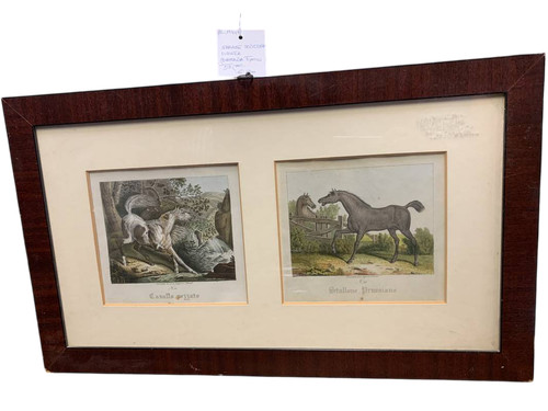 Antiche incisioni cavallo