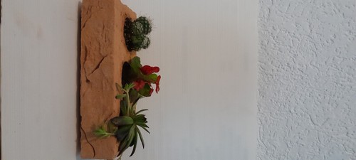 Fioriera con piante per