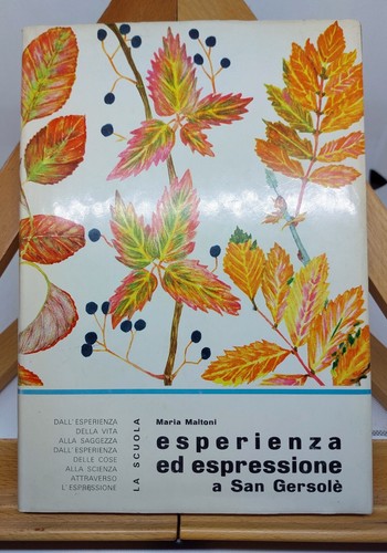 Maria maltoni esperienza - maria,