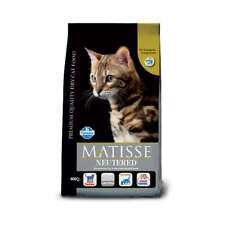 Matisse Farmina gatto