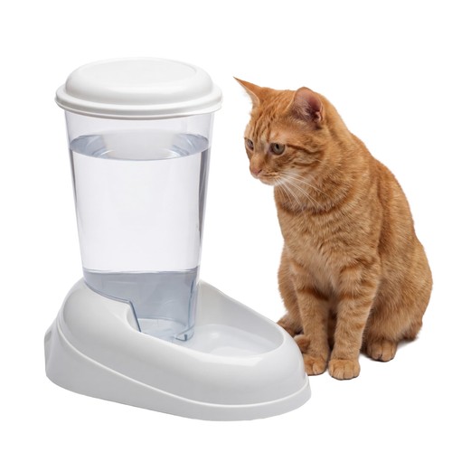 Distributore acqua per cani - per,