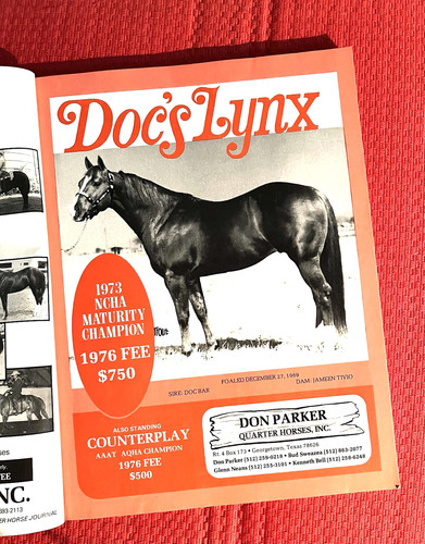 Vintage 1976 quarter horse - 1976,