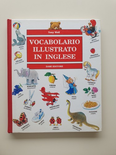 Book libro vocabolario - book,