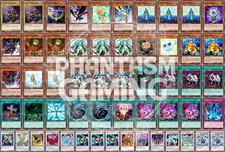 Mazzo di Piante di Rana